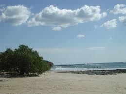 Playa Avellanas
