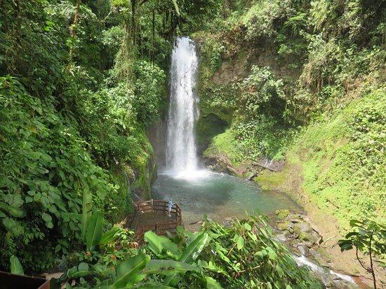 La Paz Waterfall Gardens