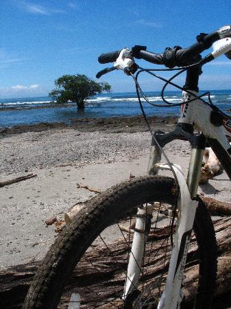 Montezuma Bike Tours
