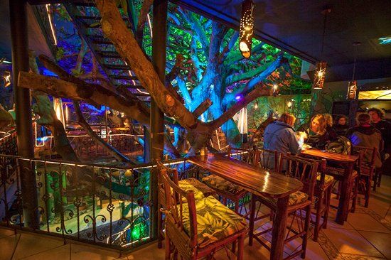Tree House Restaurant & Cafe