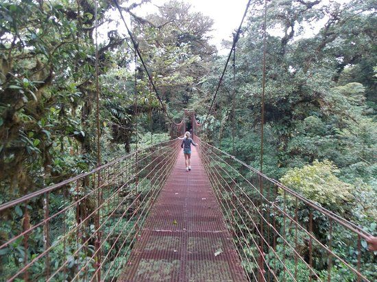 Reserva biológica Bosque Nuboso Monteverde